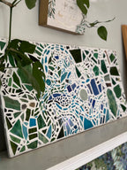 Água Bontanica, aerial view