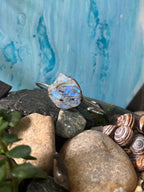 Raw Moonstone Cuff